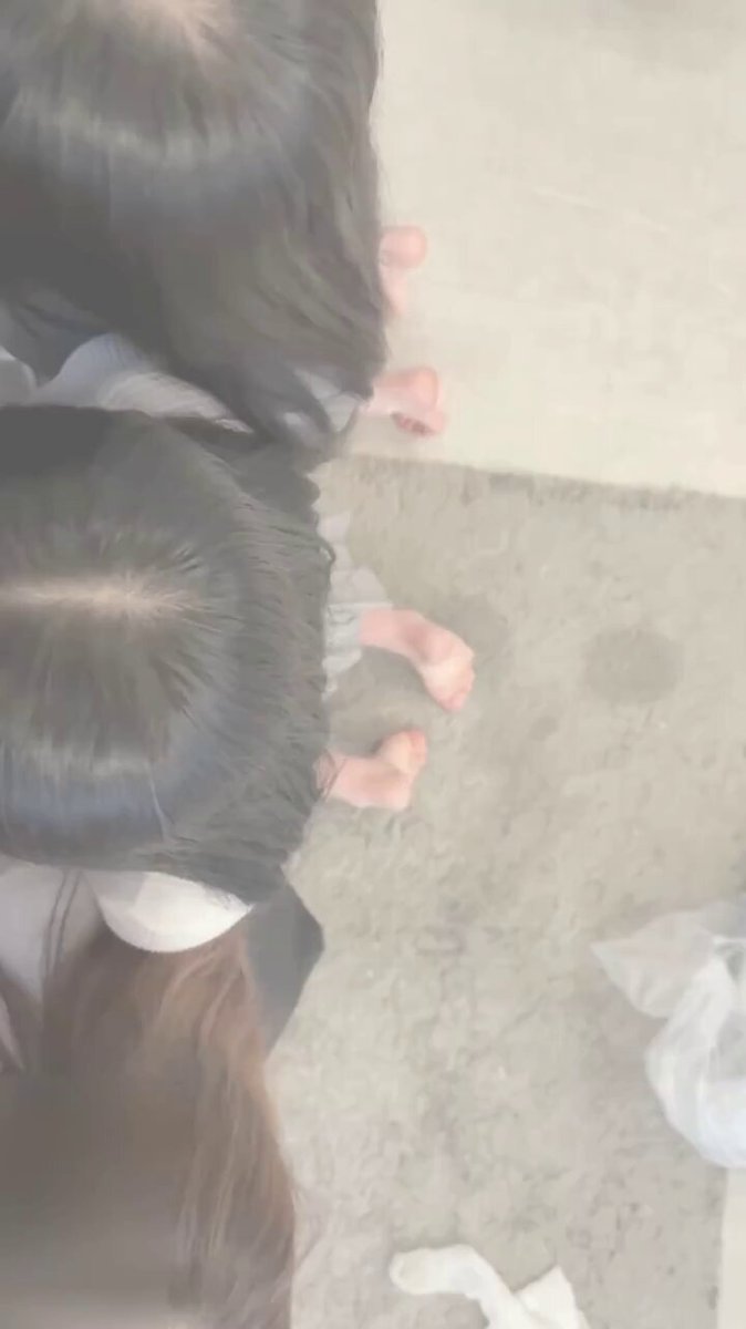 元旦 这样的活动  你们想参加吗 