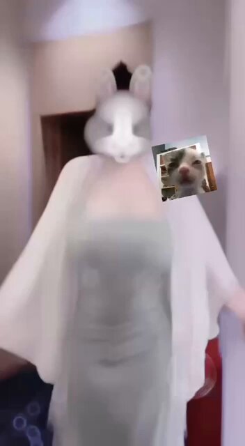 Busty Bunny Girl Video Call Tease — Boobs Jiggling, Incredibly Seductive