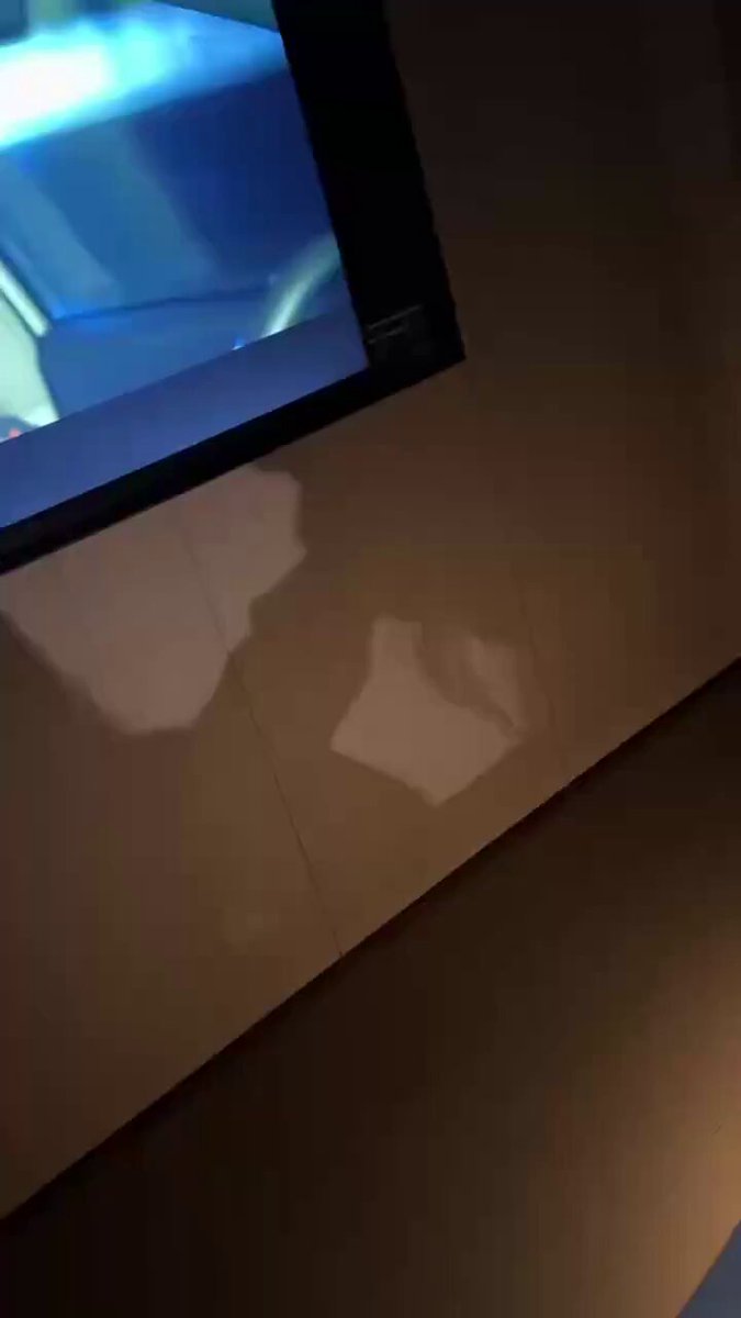 テレビ前の壁影カーニバル！白く柔らかな肉体が激しく突き上げ噴射の絶頂