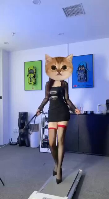 竹心推荐💕【#深圳 】
—简介:
年龄:18/160/45kg/36C
性格温柔 乖巧懂事 身材比例好 情绪稳定 
体质敏感 身边的人都夸有女王气质 
给足哥哥情绪...